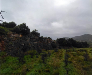 Rural plot in Platja de Vila Joiosa
