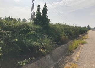 Finca rústica a Puente Tocinos