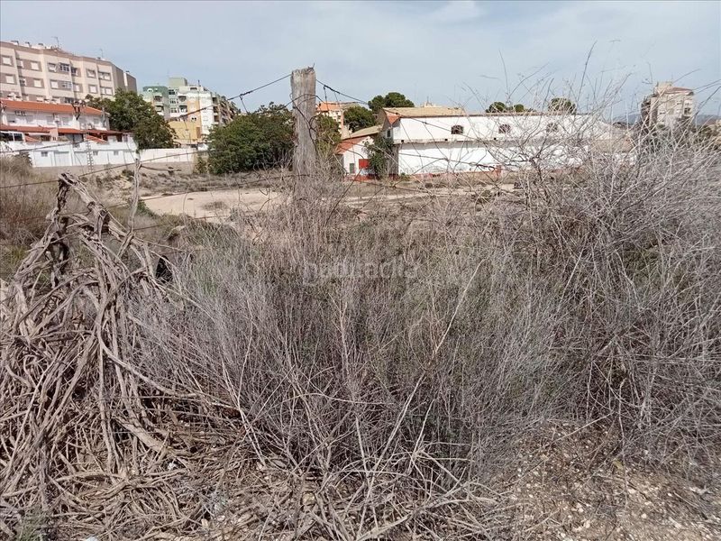Foto 9d5d97f7-97d9-4ff9-bf92-425fec89063d. Finca rústica a Monòver