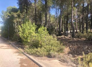 Finca rústica a San Antonio