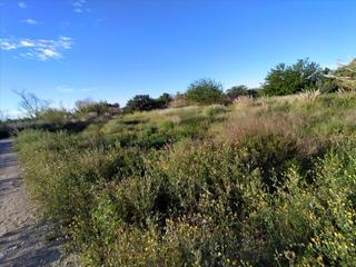 Rural plot in Torrejón de Velasco