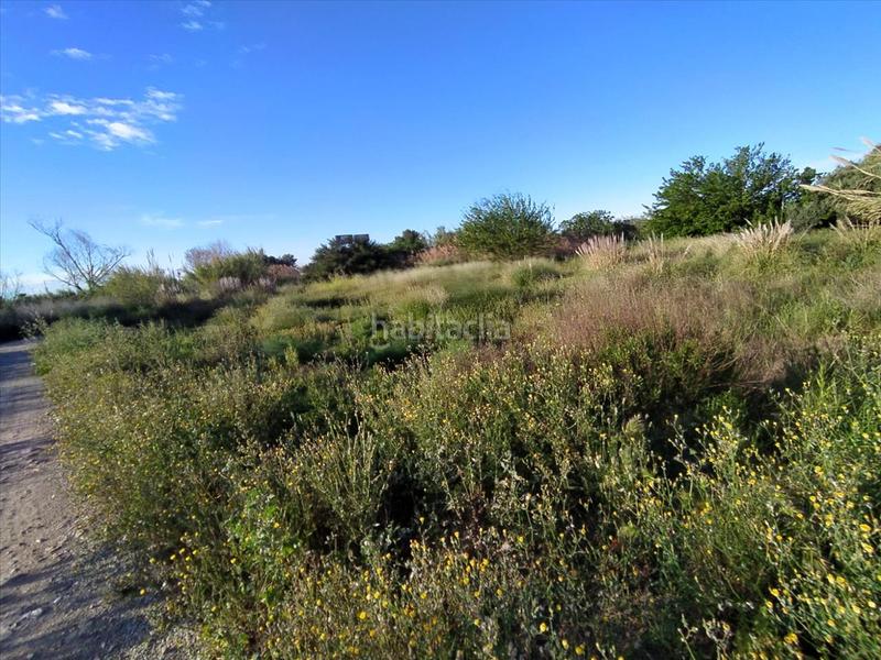 Foto a9bce3fb-bc50-4878-8dbc-3651702fba0a. Finca rústica a Torrejón de Velasco