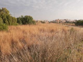 Fondo rustico in Picassent