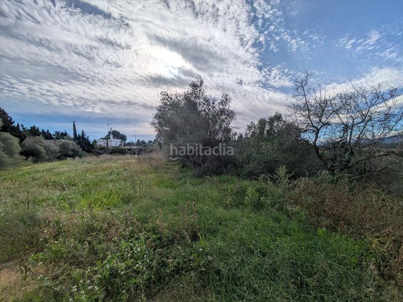 Foto 8a765582-3765-4ffd-9eff-54dd42a19c6c. Finca rústica en Masdenverge