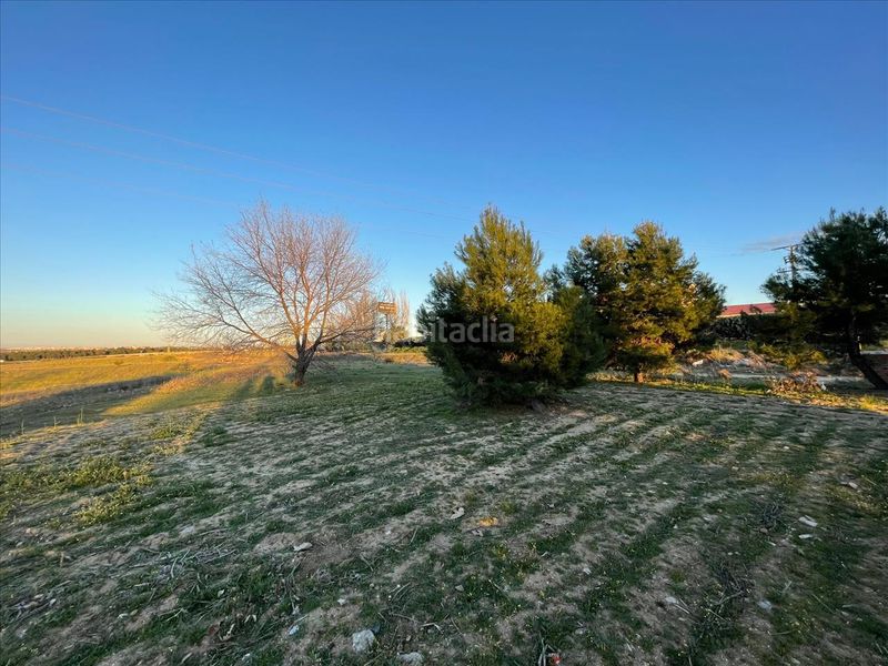 Foto d0a1b42d-17f0-4661-8b06-d75e5cbf06f2. Finca rústica a La Dehesa - El Pinar Navalcarnero