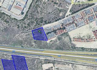 Rural plot in El Palmar