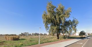 Rural plot in Maria Auxiliadora - Barriada de Llera