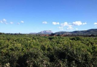 Fondo rustico in Tormos