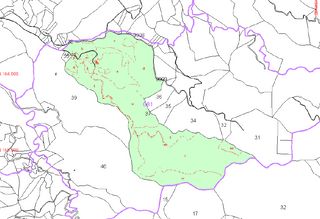 Fondo rustico in Puntarrón