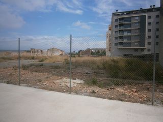 Finca rústica a El Pilar