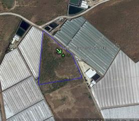 Finca rústica en San Isidro - Campohermoso
