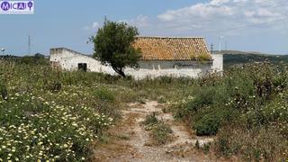 Propriété à Medina - Sidonia. En venta 3 hectareas con casa y nave en el pago de la guantera m