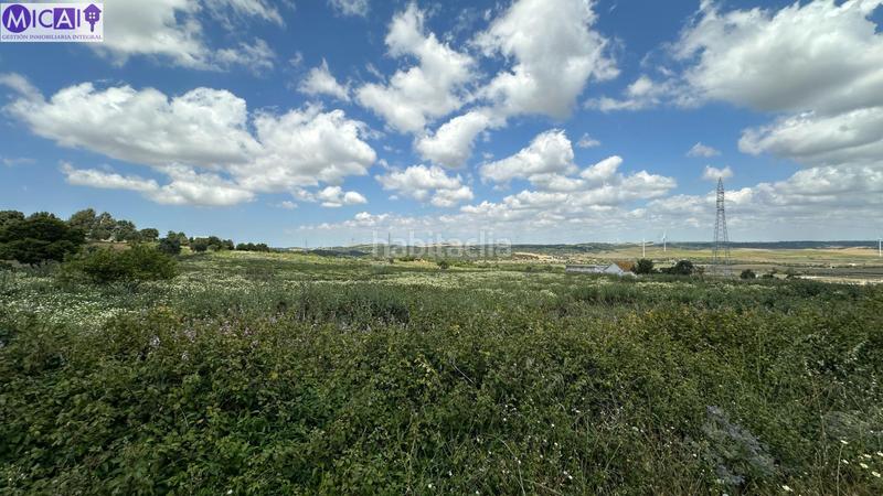 Foto 085cced8-43f3-4a2d-9fb0-b85e78a10459. Propriété dans Medina Sidonia