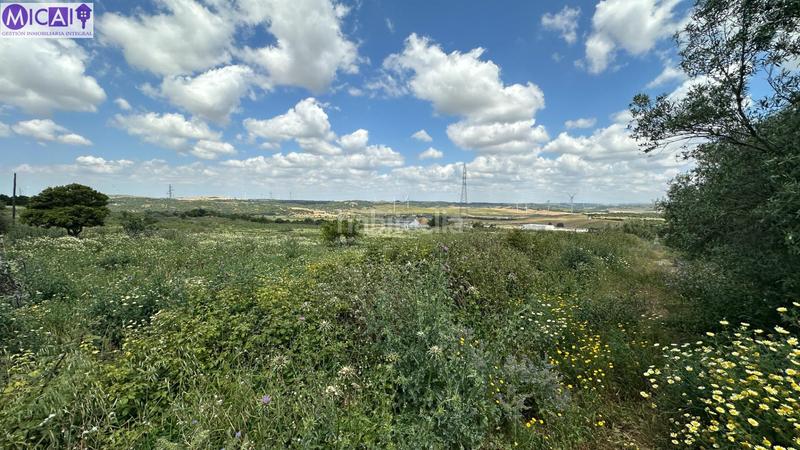 Foto 40b13161-70ea-4e4a-b642-585d4c27b582. Propriété dans Medina Sidonia
