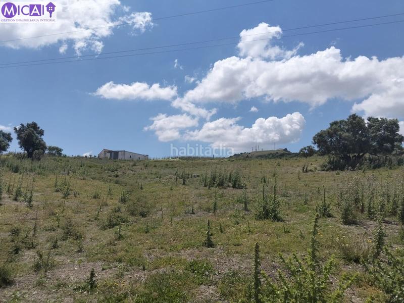 Foto c446ec2d-0290-45ab-b1d1-13644e958fe0. Propriété dans Medina Sidonia