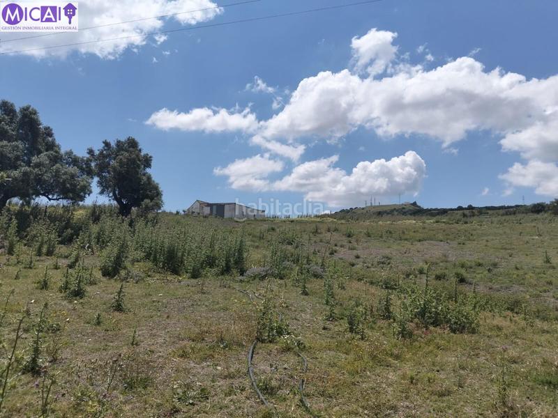 Foto d093a927-71ab-4f6c-89ef-1f67870fdc34. Propriété dans Medina Sidonia