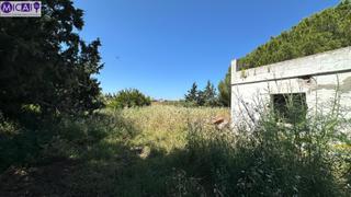 Chalet à Pelagatos - Pago del Humo. Parcela en zona de pelagatos chiclana