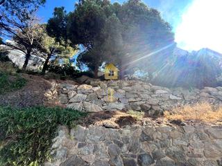 Residential Plot  Carrer jeroni pau