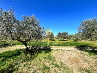 Residential Plot  Espolla. Terreno rústico en venta de 2.900 m con olivos