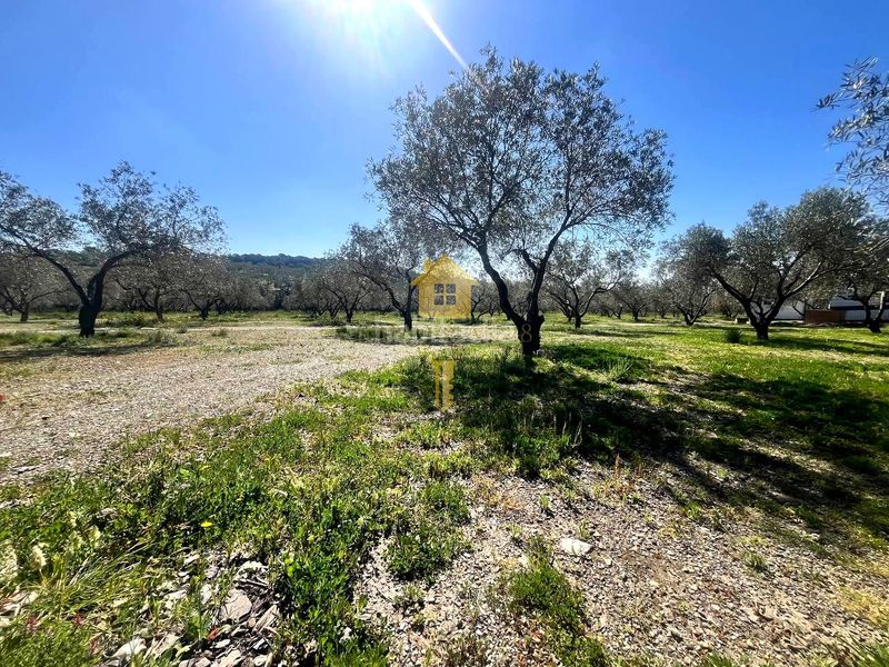 Foto 959b9e64-c7be-4742-a0e7-43f06f6b8807. Terreny residencial a Espolla