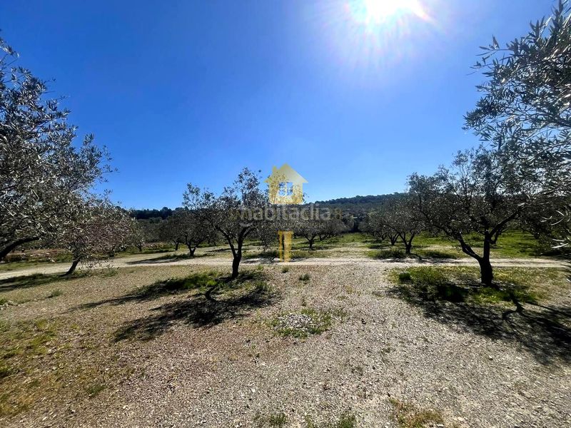 Foto a8d25519-e628-4e4e-8e13-d73c41571dcf. Terreny residencial a Espolla