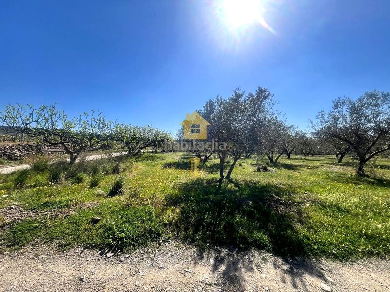 Foto fa05d042-805b-4bdd-ab08-bbbd6460cfb3. Terreny residencial a Espolla