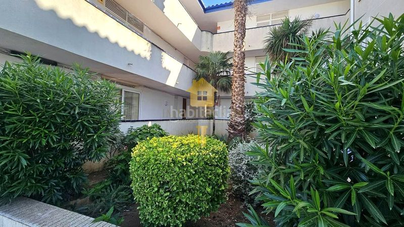 Foto 59ee9b1d-7583-406f-9c06-a7c08d7a4f1b. Planta baixa a Santa Margarida Roses