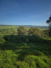 Finca rústica a Almodóvar del Río. Magnifico terreno en gigarra baja, con pozo legalizado.