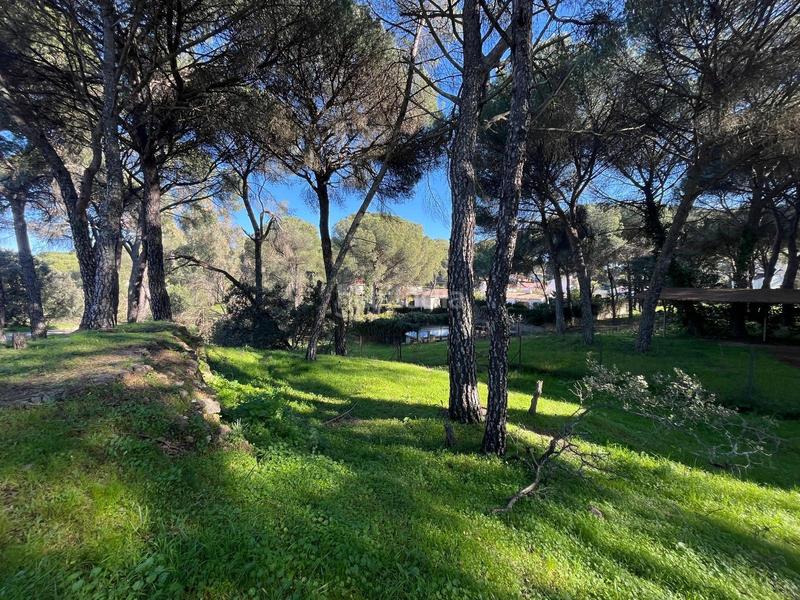 Foto 29dd345d-3082-4de3-8bba-06c589089c28. Terreno residencial parcela en Cerro Muriano en Cerro Muriano Córdoba