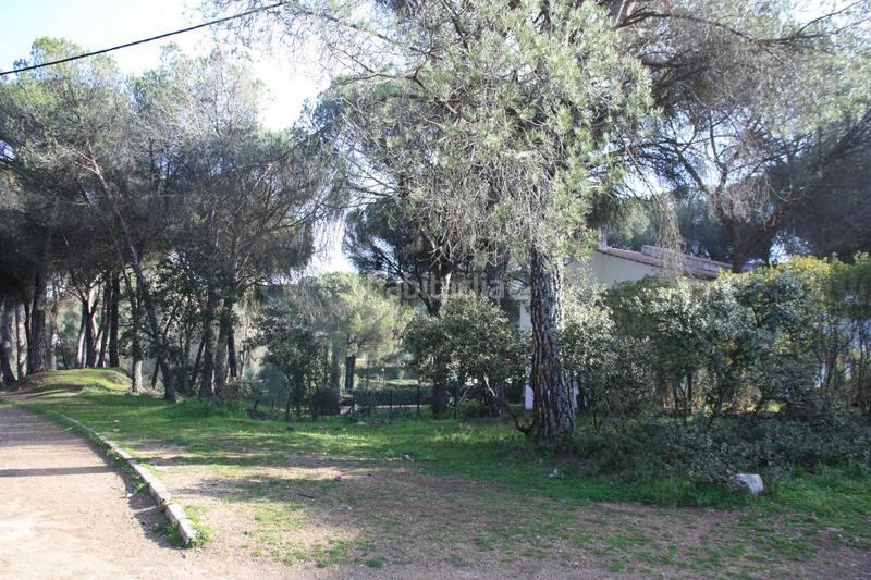 Foto 665f5359-cc95-4bcb-8e30-3f6263967e73. Terreno residencial parcela en Cerro Muriano en Cerro Muriano Córdoba