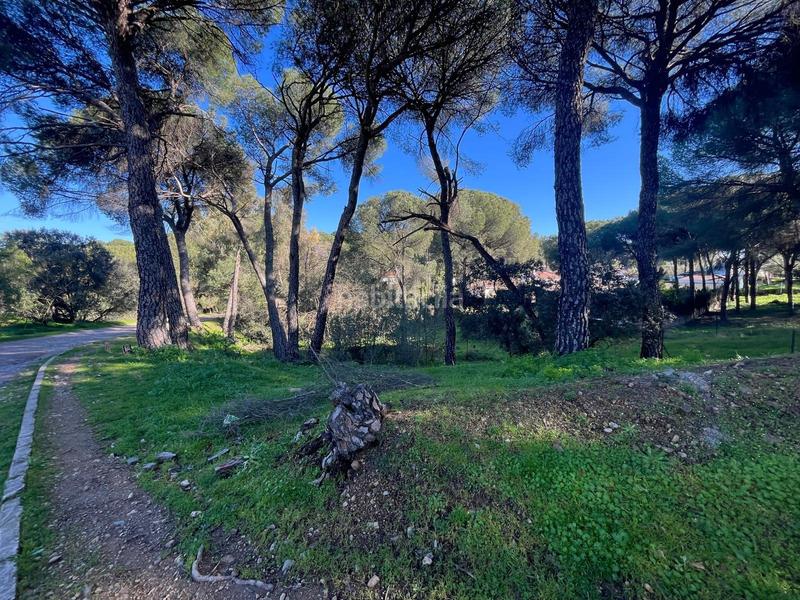 Foto a6b1f585-8ef4-4485-9dc0-01b6b61ad0b7. Terreno residencial parcela en Cerro Muriano en Cerro Muriano Córdoba