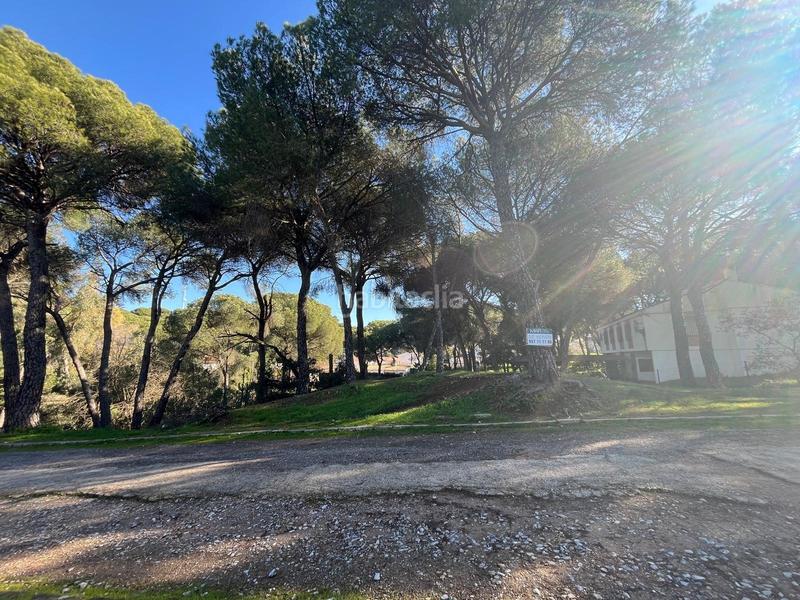 Foto dcd8d449-690a-44c5-9be0-862355f78bf8. Terreno residencial parcela en Cerro Muriano en Cerro Muriano Córdoba