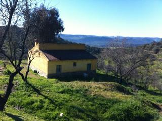Masia a Espiel. Finca rustica en la zona de espiel  cordoba