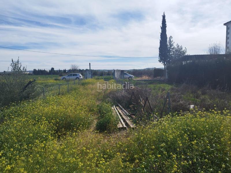 Foto 059c5292-54ab-4519-b146-235e60f84d83. Finca rústica a Carpio (El)