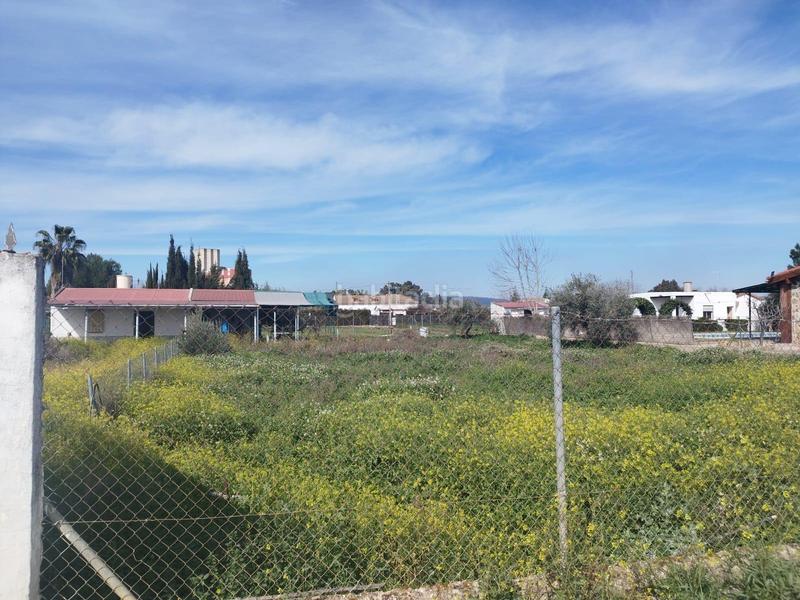 Foto 97a82dbf-8f46-45d6-9714-a60490599e30. Finca rústica a Carpio (El)