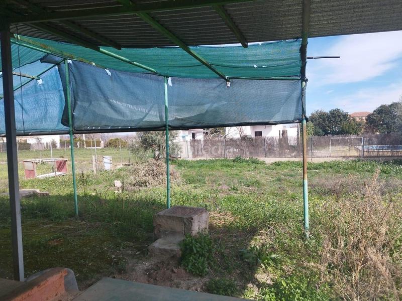 Foto a2a100fe-468c-4345-b711-ad85bceeabb4. Finca rústica a Carpio (El)