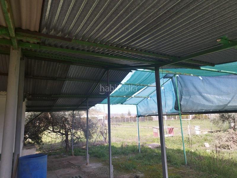 Foto a69688d4-7437-4857-a7ec-ee4966775cdc. Finca rústica a Carpio (El)