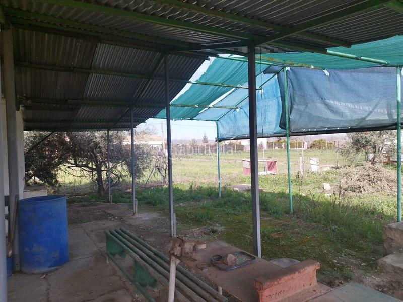 Foto badb7096-b5e8-4bed-8aa7-0e1688b7bfd9. Finca rústica a Carpio (El)