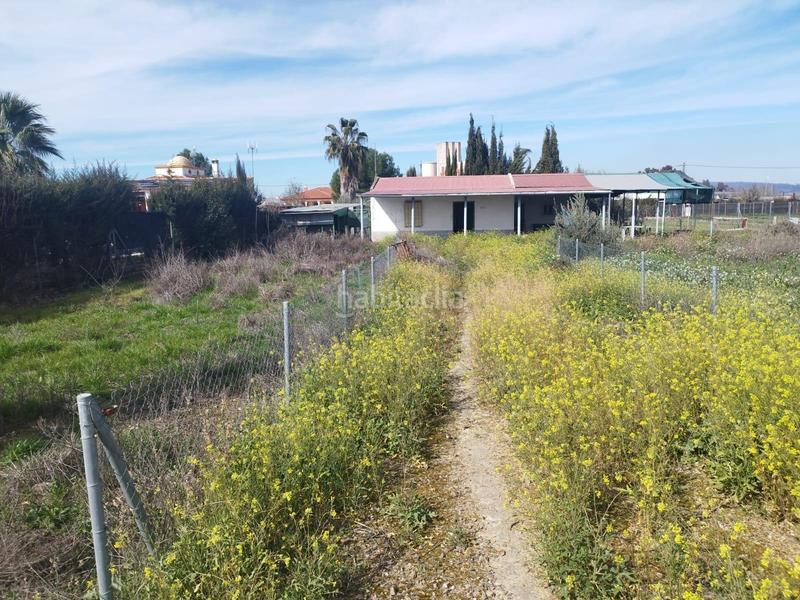Foto e5df7a5d-8fa2-445b-8112-aee4b8ef8263. Finca rústica a Carpio (El)