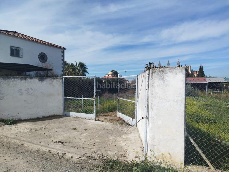Foto ee481cc2-c3ac-4887-97cb-2f3b1ff71ae4. Finca rústica a Carpio (El)