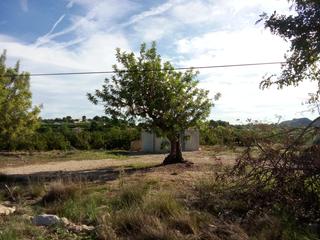 Finca rústica a Monserrat. Venta de 120 anegadas de citricos en montserrat, valencia