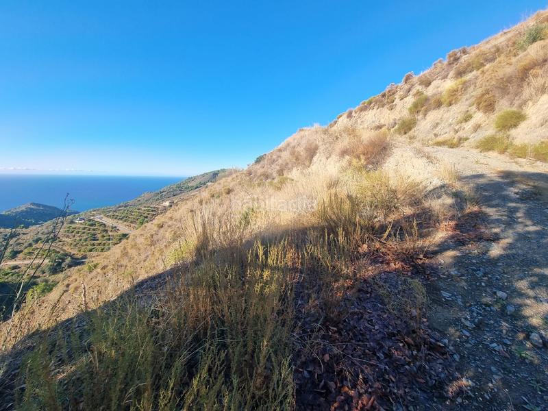 Foto 0483def6-e887-4627-ae66-b2604a85a5a1. Rural plot in maro - cuevas de Nerja Nerja