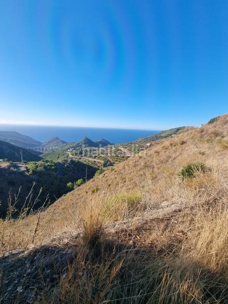 Foto 4775c3cd-91e0-4c44-b3a9-02e099044208. Rural plot in maro - cuevas de Nerja Nerja