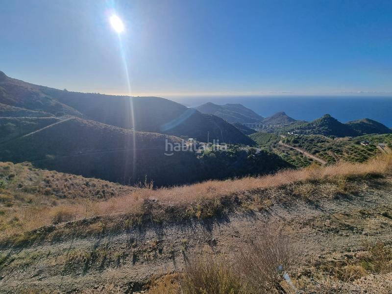 Foto 96560292-35b6-4ecb-86bc-bb0f040f6ccd. Rural plot in maro - cuevas de Nerja Nerja