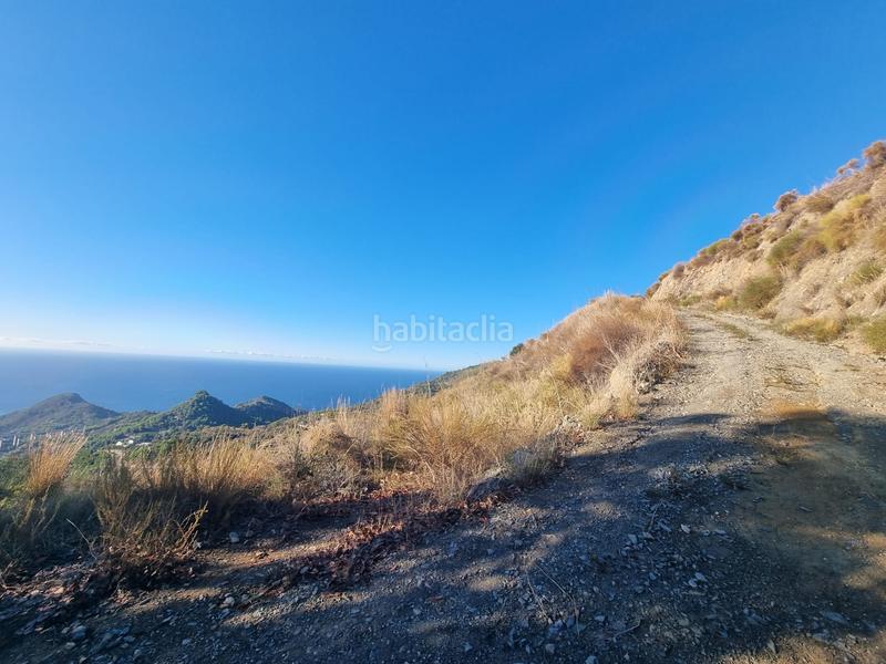 Foto a9d99757-64dc-4182-86b4-95c16d3bbdb7. Rural plot in maro - cuevas de Nerja Nerja