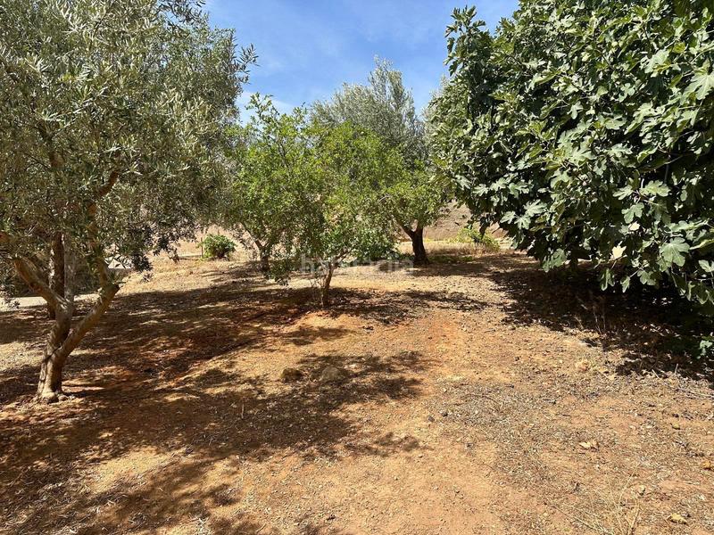 Foto 9b944107-1d84-488b-9154-3ad2b49d0d99. Casa con camino parcheggio in Pedanías - Extrarradio Albacete