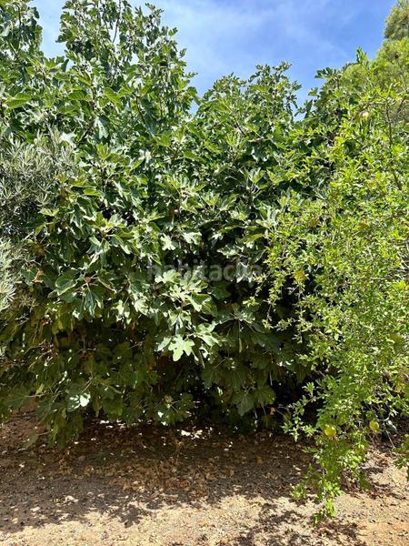 Foto 9f3e9a07-5552-42b8-ad08-a88904ad70e3. Casa con camino parcheggio in Pedanías - Extrarradio Albacete