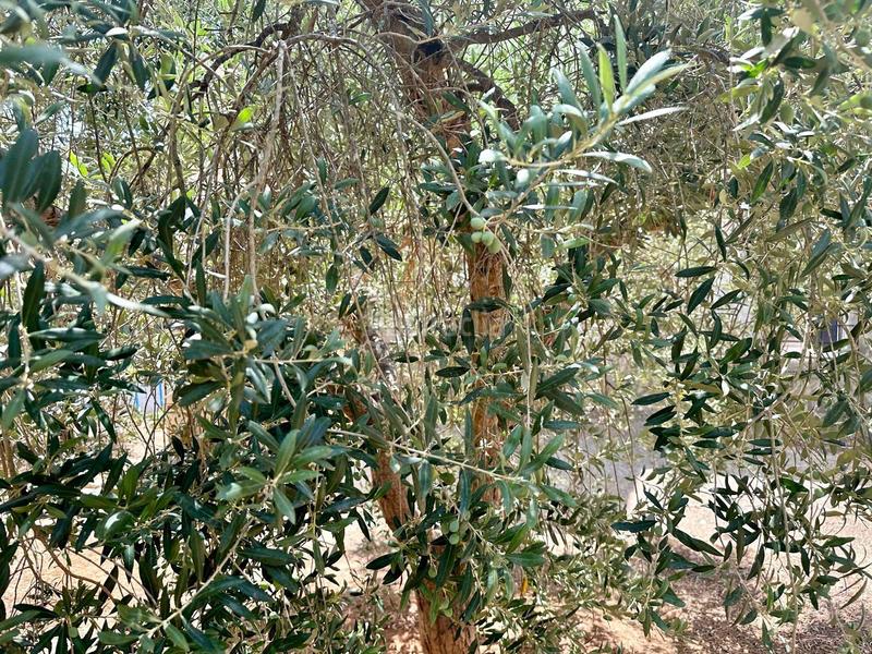 Foto b5e78c13-a104-4015-9af9-d2c82c32cafe. Casa con camino parcheggio in Pedanías - Extrarradio Albacete