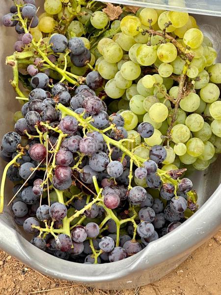 Foto df52de59-cdff-4da5-a06e-d33196685534. Casa con camino parcheggio in Pedanías - Extrarradio Albacete