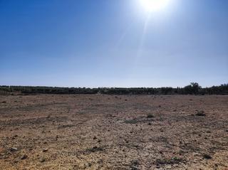 Rural plot in Ontur